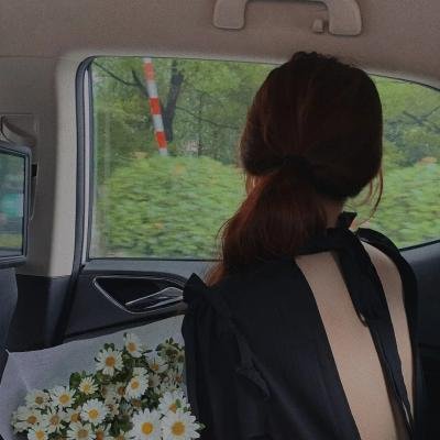 双生镜像陆先生对我忽冷忽热